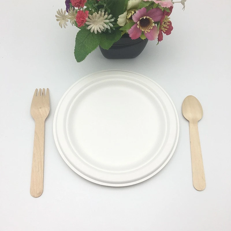 Sugarcane Round Plates best